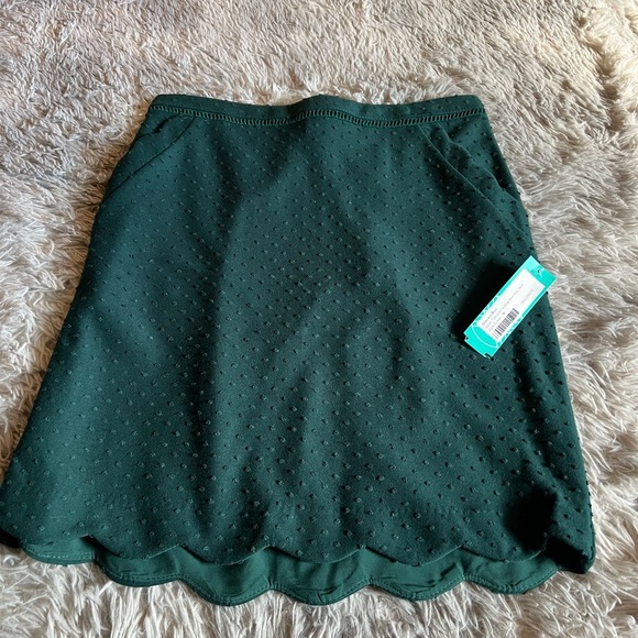 NWT Stitch Fix Skies are Blue Arden Textured Scallop Hem Knit Skirt - Picture 2 of 4
